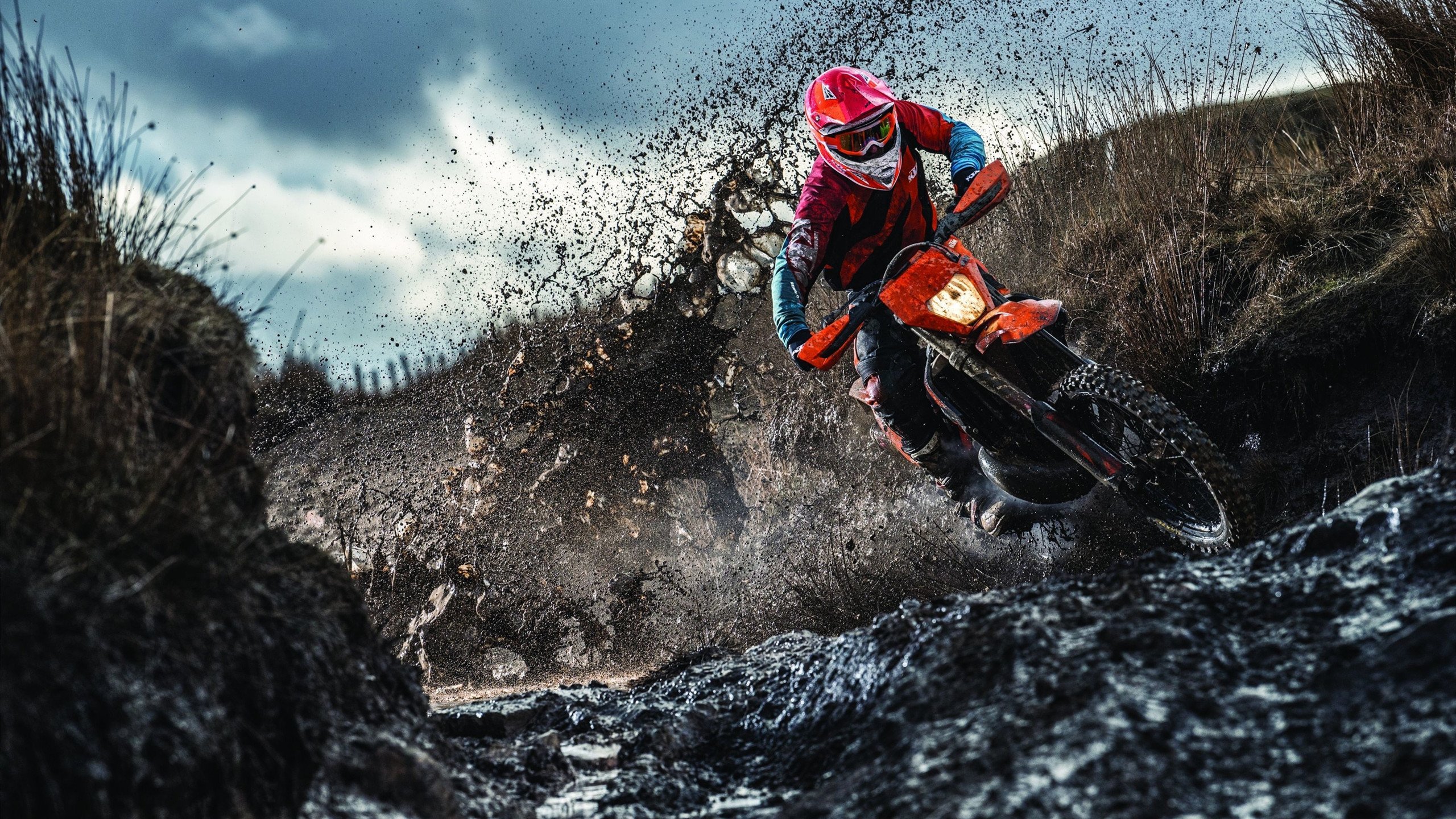 自由泳巅峰对决，世界纪录保持者再创佳绩，新星闪耀国际泳坛