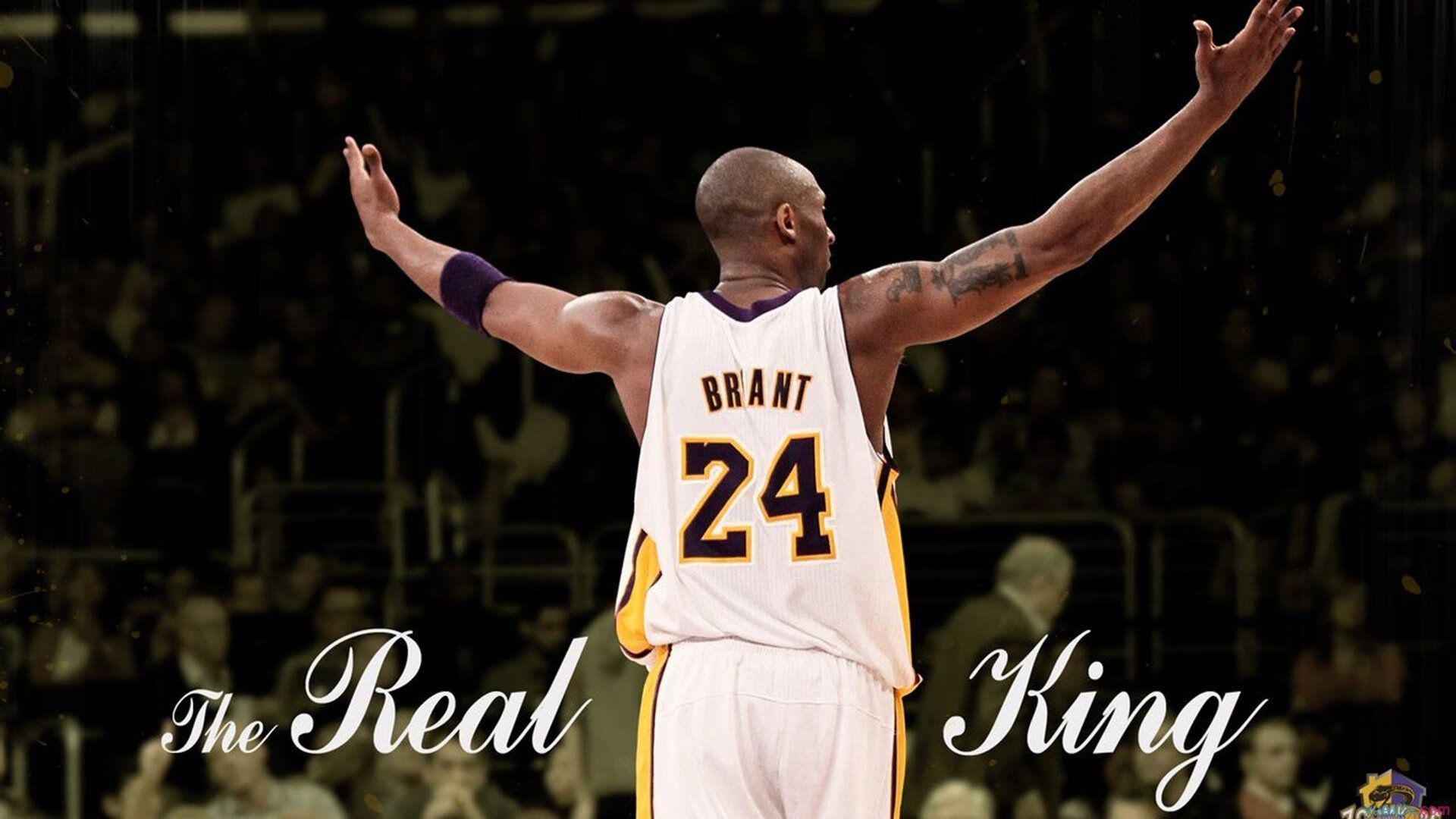 全球机器人竞赛巅峰对决，科技与体育的完美融合